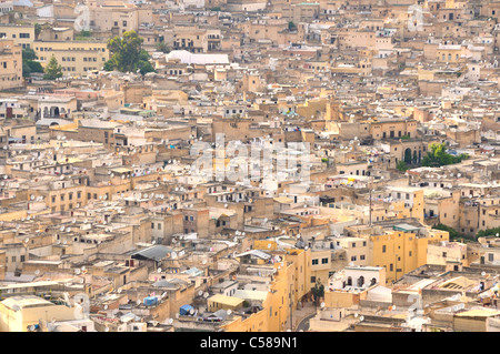 Africa, Morocco, Maghreb, North Africa, Fez, Old Town, roofs, Medina, overview Stock Photo