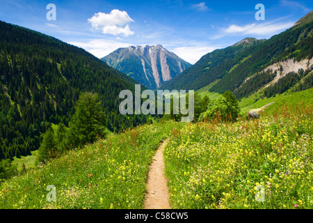 Valley of Binn, Switzerland, Europe, canton Valais, nature reserve valley of Binn, meadow, flower meadow, way, mountain, clouds Stock Photo