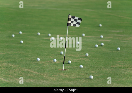 Flamingo, Golf Course, Lely Resort, Naples, Florida, USA, United States, America, green, grass, balls, golf Stock Photo