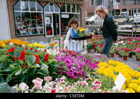 Proprietor and customer, fresh flower shop, Eu, Normandy Region, France. Stock Photo