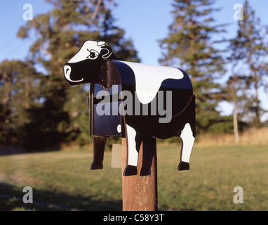 Novelty 'cow' post box at farm gate, near Christchurch, Canterbury, South Island, New Zealand Stock Photo