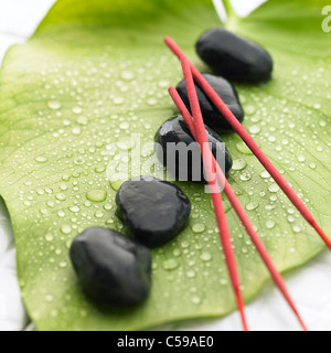 Stones and incense sticks on leaf Stock Photo