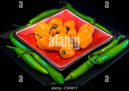 Habanero is a blistering hot pepper 40 times hotter than Jalapeño! Serrano Peppers are fleshy and meaty with unique flavor. Stock Photo