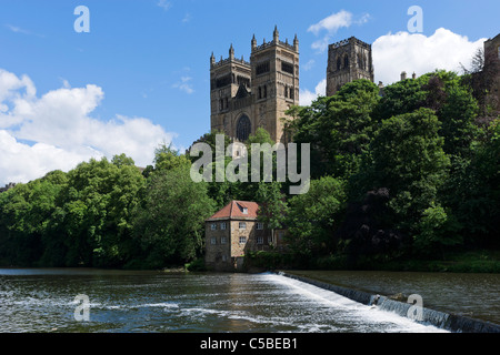 Durham Cathedral from the banks of the River Wear, Durham, County Durham, North East England, UK Stock Photo