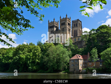 Durham Cathedral from the banks of the River Wear, Durham, County Durham, North East England, UK Stock Photo