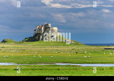 Lindisfarne Castle, Holy Island, Northumberland, North East England, UK Stock Photo