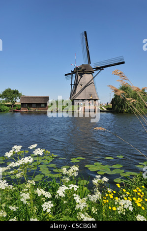 Thatched polder windmill along canal at Kinderdijk, a UNESCO World Heritage Site at South Holland, the Netherlands Stock Photo