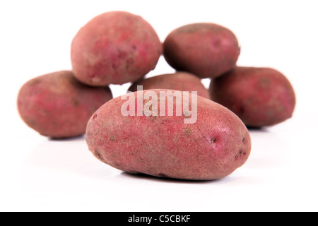 Red Duke of York Potatoes on a White Background Stock Photo