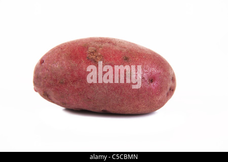 Single Red Duke of York Potato on a White Background Stock Photo