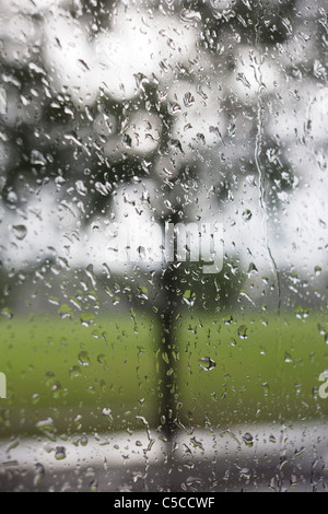 Raindrops on a pane of window glass with an urban park background. Stock Photo