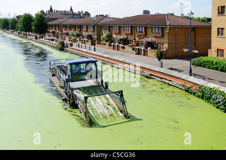 'The Lee mean alga clean machine' owned by British Waterways at work on the Lee Navigation scooping up green hot summer algal bloom Hackney London UK Stock Photo