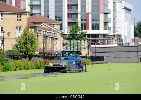'The Lee mean clean machine' owned by British Waterways at work on the Lee Navigation scooping up green summer algal bloom Stock Photo