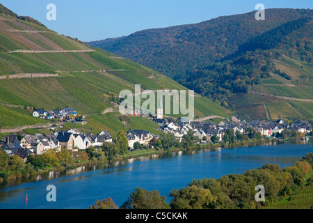 Zell an der Mosel im Herbst, the village Zell at the Moselle river at autumn Stock Photo