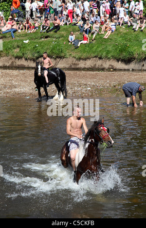 Gypsy boys swimming horses at the Appleby Horse Fair, Appleby-In ...