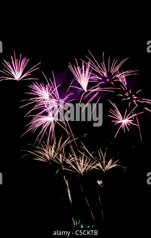 Purple and white fireworks exploding in the night sky. A celebration of  color and explosions! Stock Photo