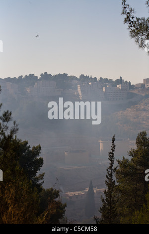 Ten firefighting teams and six aircraft were deployed today to bring a forest fire under control. Jerusalem, Israel. 17/07/2011. Stock Photo