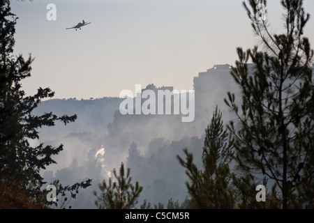 Ten firefighting teams and six aircraft were deployed today to bring a forest fire under control. Jerusalem, Israel. 17/07/2011. Stock Photo