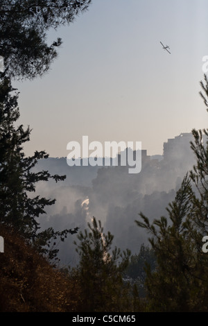 Ten firefighting teams and six aircraft were deployed today to bring a forest fire under control. Jerusalem, Israel. 17/07/2011. Stock Photo