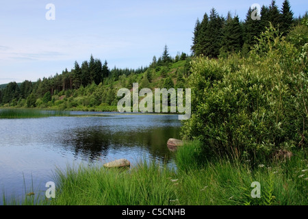 View of Stroan Loch from the Raiders Road forest drive near New Galloway in Dumfries and Galloway. Stock Photo