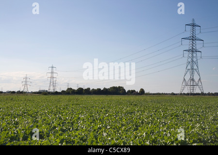 electrical power distribution lincolnshire Stock Photo