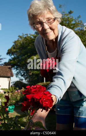 Plucking the Red and White Roses in the Old Temple Gardens (1908) by