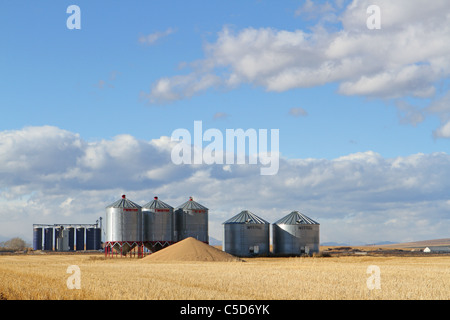 Grain Elevators Agriculture farming storage bin tanks vast huge large big acres massive size matters grain crop yield cash-crop Stock Photo