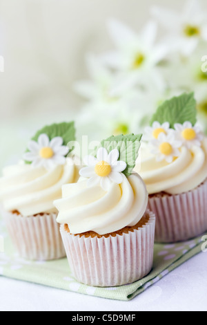 Daisy cupcakes Stock Photo
