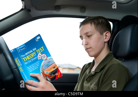 Theory test handbook