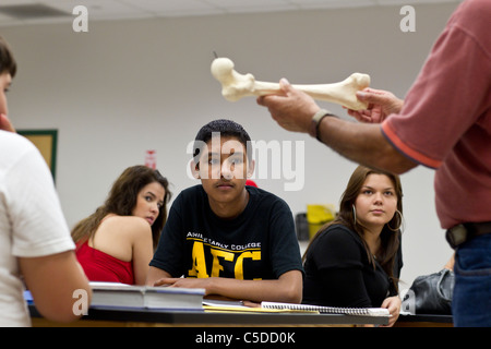 Male teacher hold up plastic mold of a bone as a demonstration in science class at South Texas high school as students listen Stock Photo