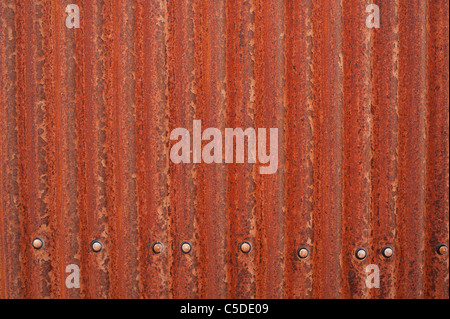rusty corrugated metal on a shed wall Stock Photo