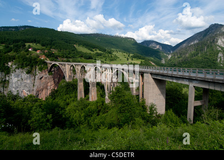 Tara River bridge, Durmitor National Park, Montenegro Stock Photo