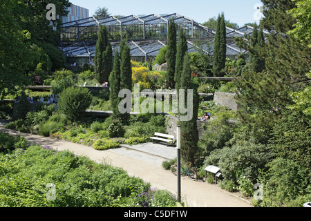 Tropical Greenhouses, Old Botanical Garden, Hamburg Stock Photo