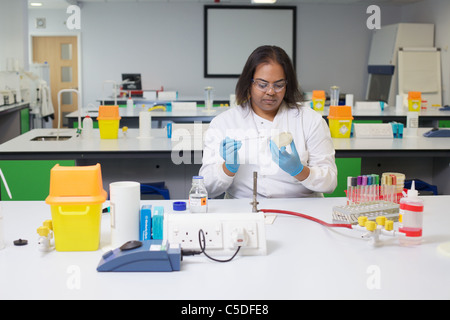 Wednesday 6th July 2011 Lab technician chemical testing at the Leeds Metropolitan University.Bio Chemistry Laboratories. Stock Photo