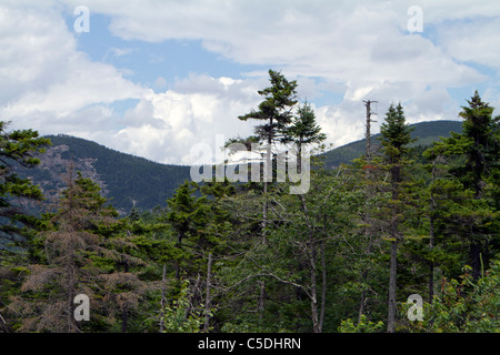 United States America New Hampshire USA White Mountains. Stock Photo