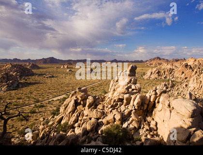 Strange gneiss rock formations in the Mojave desert landscape - Mojave desert, California USA Stock Photo