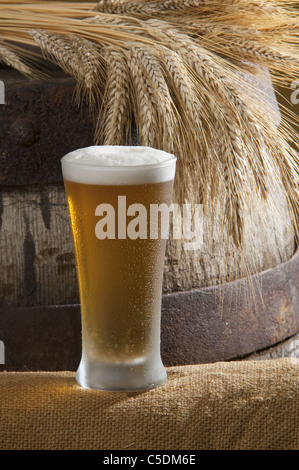 beer glass with barley and wheat Stock Photo