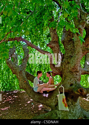 Two women sit in the branches of a Weeping Beech tree (Fagus sylvatica) at the Brooklyn Botanic Garden in New York City. Stock Photo