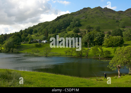 Angler fishing on the shore of Loughrigg Tarn, Lake District National Park, Cumbria, England UK Stock Photo