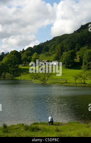 Angler fishing on the shore of Loughrigg Tarn, Lake District National Park, Cumbria, England UK Stock Photo