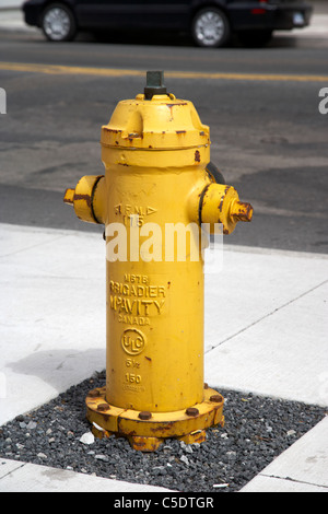 yellow brigadier mcavity fire hydrant in downtown toronto ontario canada Stock Photo