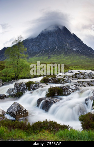 Buachaille Etive Mor and River Coupall, Highland, Scotland, UK. Stock Photo