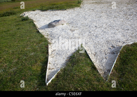 Head Detail of The White Horse at Roundway Devizes Wiltshire Stock Photo