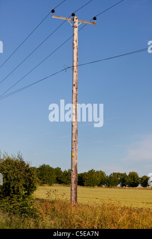 Wooden utility pole and power lines Stock Photo - Alamy