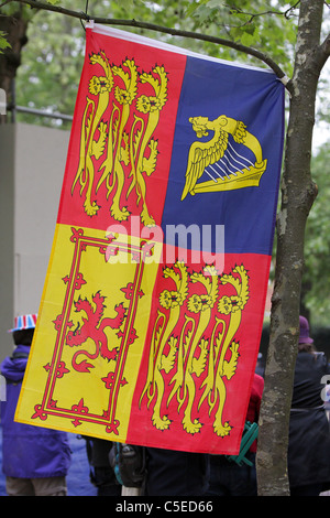 THE ROYAL WEDDING DAY 2011,hanging from a London Plane-tree is the Royal Standard flag. Stock Photo