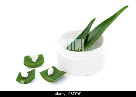 aloe vera leaves and cream isolated on white background Stock Photo