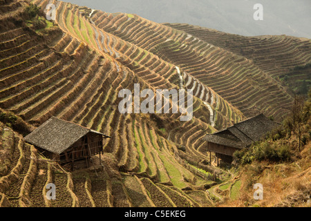 The world-famous rice terraces of Longji 'backbone of the dragon' and the village of Ping An near  Long Sheng, Guangxi, China Stock Photo