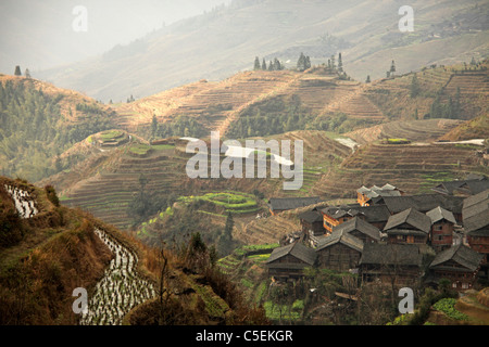 The world-famous rice terraces of Longji 'backbone of the dragon' and the village of Ping An near  Long Sheng, Guangxi, China Stock Photo