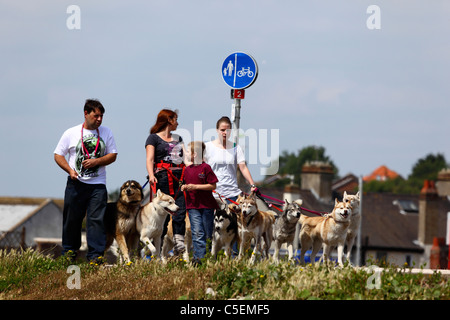 Family walking dogs along street in housing estate, St Leonards on Sea, East Sussex, England Stock Photo