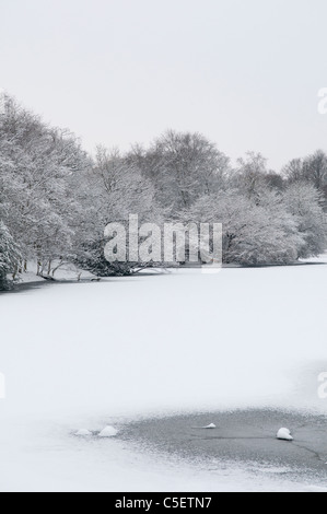 Frozen landscape Stock Photo