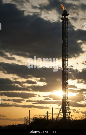 silhouette of oil refinery tower at sunset Stock Photo - Alamy